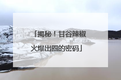 揭秘！甘谷辣椒火爆出圈的密码