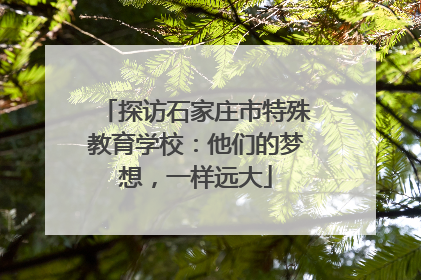 探访石家庄市特殊教育学校：他们的梦想，一样远大