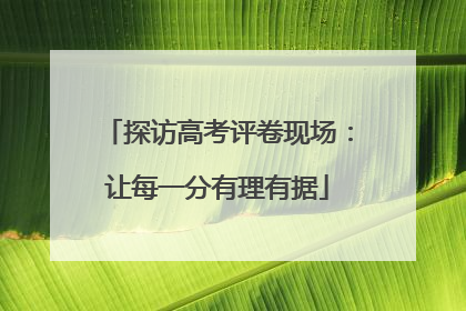 探访高考评卷现场：让每一分有理有据