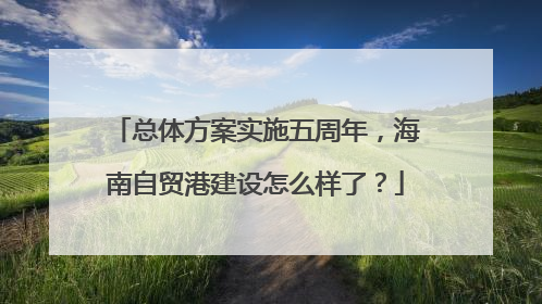 总体方案实施五周年，海南自贸港建设怎么样了？