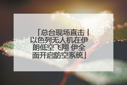 总台现场直击丨以色列无人机在伊朗低空飞翔 伊全面开启防空系统