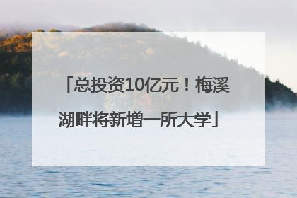 总投资10亿元！梅溪湖畔将新增一所大学