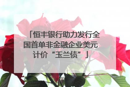 恒丰银行助力发行全国首单非金融企业美元计价“玉兰债”