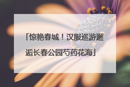 惊艳春城！汉服巡游邂逅长春公园芍药花海