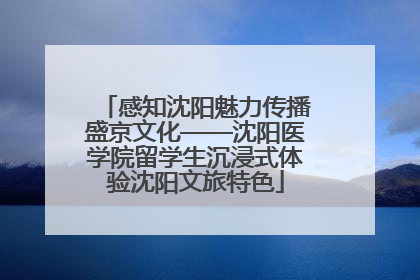 感知沈阳魅力传播盛京文化——沈阳医学院留学生沉浸式体验沈阳文旅特色