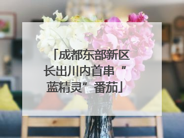 成都东部新区长出川内首串“蓝精灵”番茄