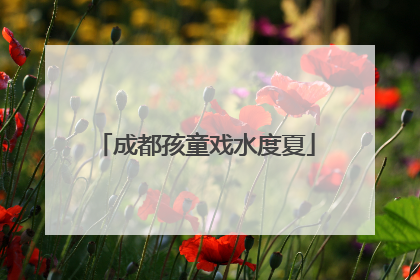 成都孩童戏水度夏