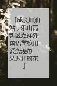 成长加油站，乐山高新区嘉祥外国语学校用爱浇灌每一朵迟开的花