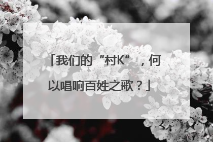 我们的“村K”，何以唱响百姓之歌？