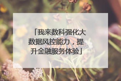 我来数科强化大数据风控能力，提升金融服务体验