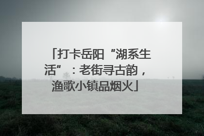 打卡岳阳“湖系生活”：老街寻古韵，渔歌小镇品烟火