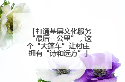 打通基层文化服务“最后一公里”，这个“大篷车”让村庄拥有“诗和远方”
