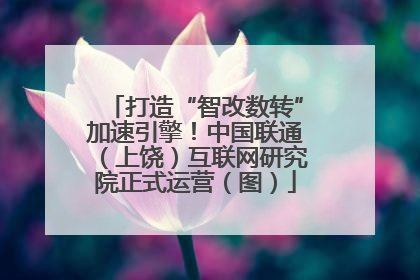 打造“智改数转”加速引擎！中国联通（上饶）互联网研究院正式运营（图）