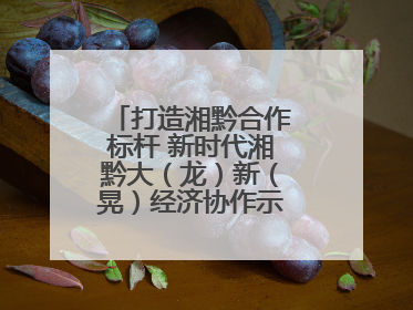 打造湘黔合作标杆 新时代湘黔大（龙）新（晃）经济协作示范园建设签约