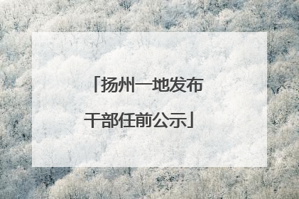 扬州一地发布干部任前公示