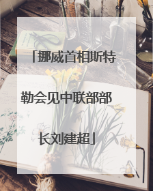 挪威首相斯特勒会见中联部部长刘建超
