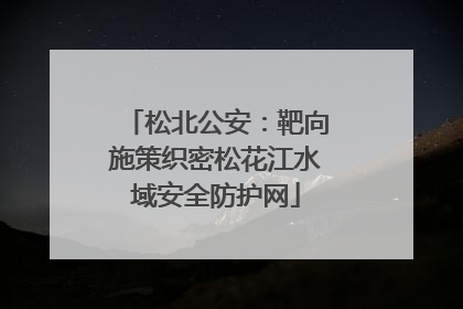 松北公安：靶向施策织密松花江水域安全防护网