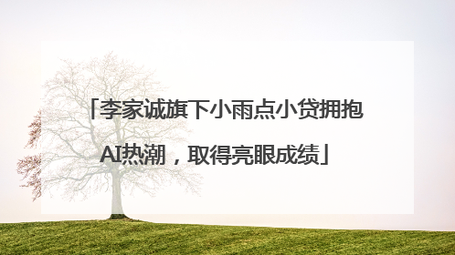 李家诚旗下小雨点小贷拥抱AI热潮，取得亮眼成绩