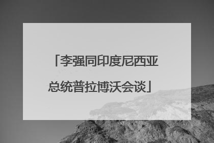 李强同印度尼西亚总统普拉博沃会谈