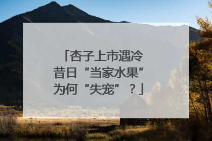 杏子上市遇冷 昔日“当家水果”为何“失宠”？