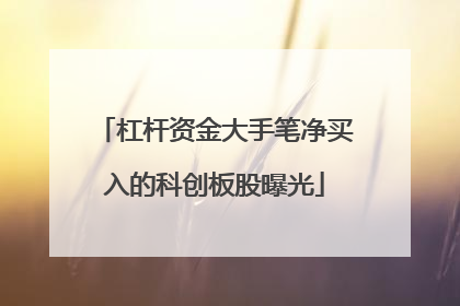 杠杆资金大手笔净买入的科创板股曝光