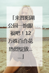来晋阳湖公园一饱眼福吧！12万株百合花热烈绽放……