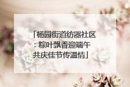 杨园街道纺器社区：粽叶飘香迎端午 共庆佳节传温情
