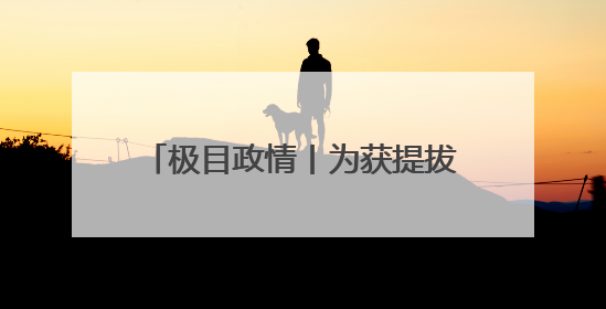 极目政情丨为获提拔，“80后”副区长送给国家工作人员巨额财物被“双开”