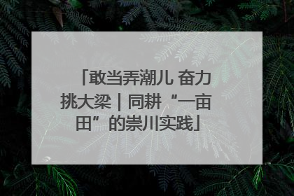 敢当弄潮儿 奋力挑大梁｜同耕“一亩田”的崇川实践