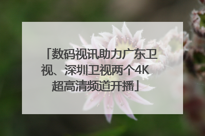 数码视讯助力广东卫视、深圳卫视两个4K超高清频道开播