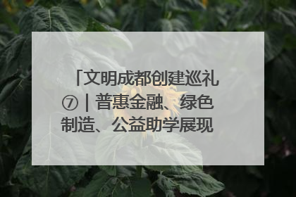 文明成都创建巡礼⑦｜普惠金融、绿色制造、公益助学展现城市文明底色