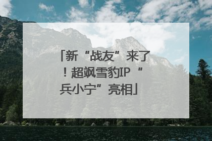 新“战友”来了！超飒雪豹IP“兵小宁”亮相