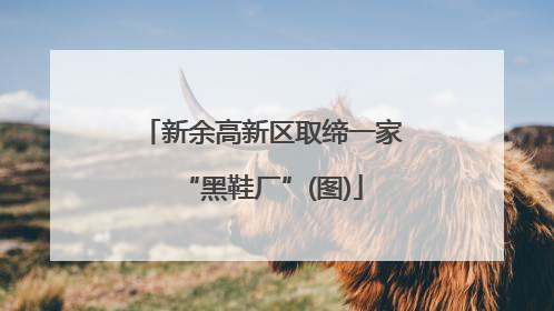 新余高新区取缔一家“黑鞋厂”(图)
