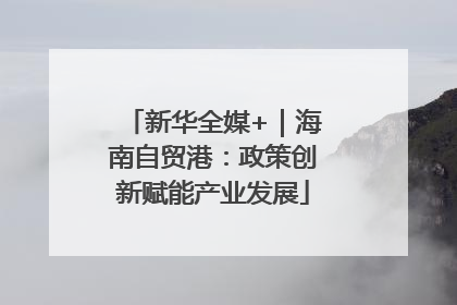 新华全媒+｜海南自贸港：政策创新赋能产业发展