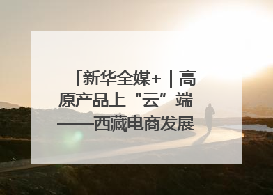 新华全媒+｜高原产品上“云”端——西藏电商发展一线观察