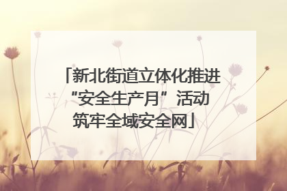 新北街道立体化推进“安全生产月”活动 筑牢全域安全网