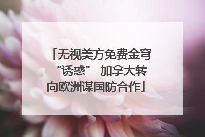 无视美方免费金穹“诱惑” 加拿大转向欧洲谋国防合作