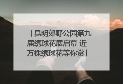 昆明郊野公园第九届绣球花展启幕 近万株绣球花等你赏