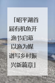 昭平湖首届有机鱼开渔节启幕 以渔为媒 谱写乡村振兴新篇章