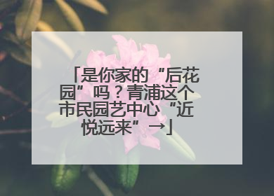 是你家的“后花园”吗？青浦这个市民园艺中心“近悦远来”→