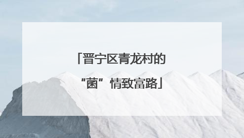 晋宁区青龙村的“菌”情致富路