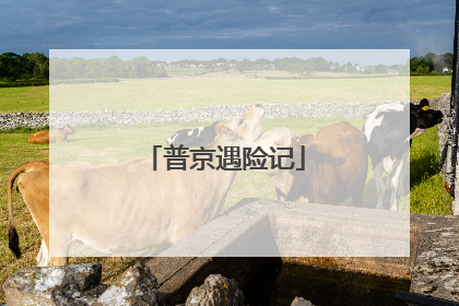 普京遇险记