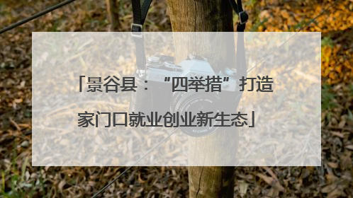 景谷县：“四举措”打造家门口就业创业新生态