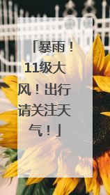 暴雨！11级大风！出行请关注天气！