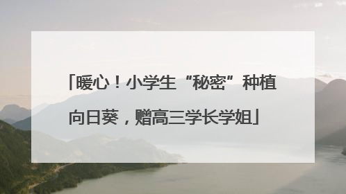暖心！小学生“秘密”种植向日葵，赠高三学长学姐