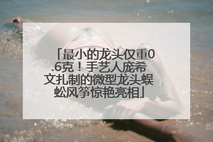 最小的龙头仅重0.6克！手艺人庞希文扎制的微型龙头蜈蚣风筝惊艳亮相