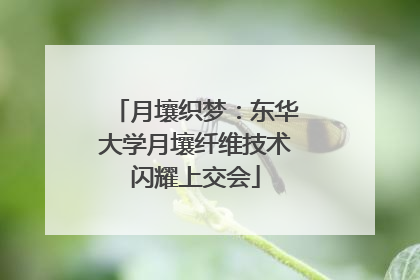 月壤织梦：东华大学月壤纤维技术闪耀上交会