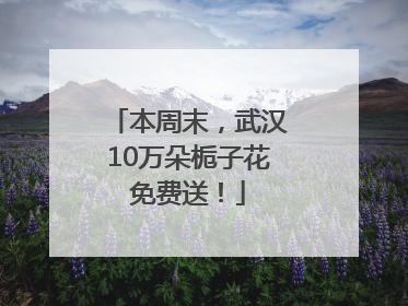 本周末，武汉10万朵栀子花免费送！