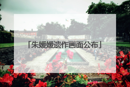 朱媛媛遗作画面公布