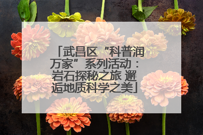 武昌区“科普润万家”系列活动：岩石探秘之旅 邂逅地质科学之美
